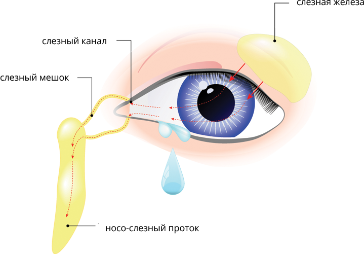 shema.png